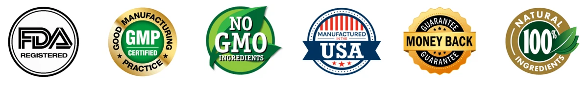 Certifications of  Synadentix